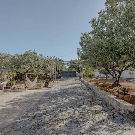 Sternfalle * Elia (Crete)