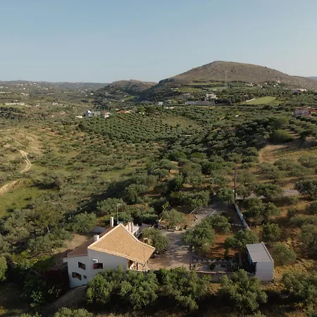 Sternfalle * Elia (Crete)